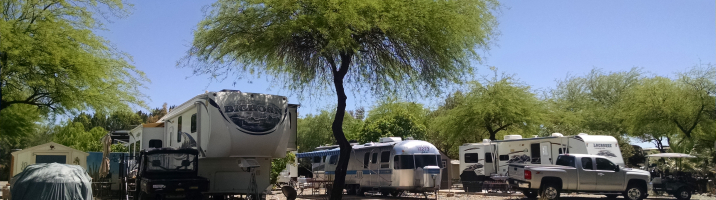 RV’s Shade Trees