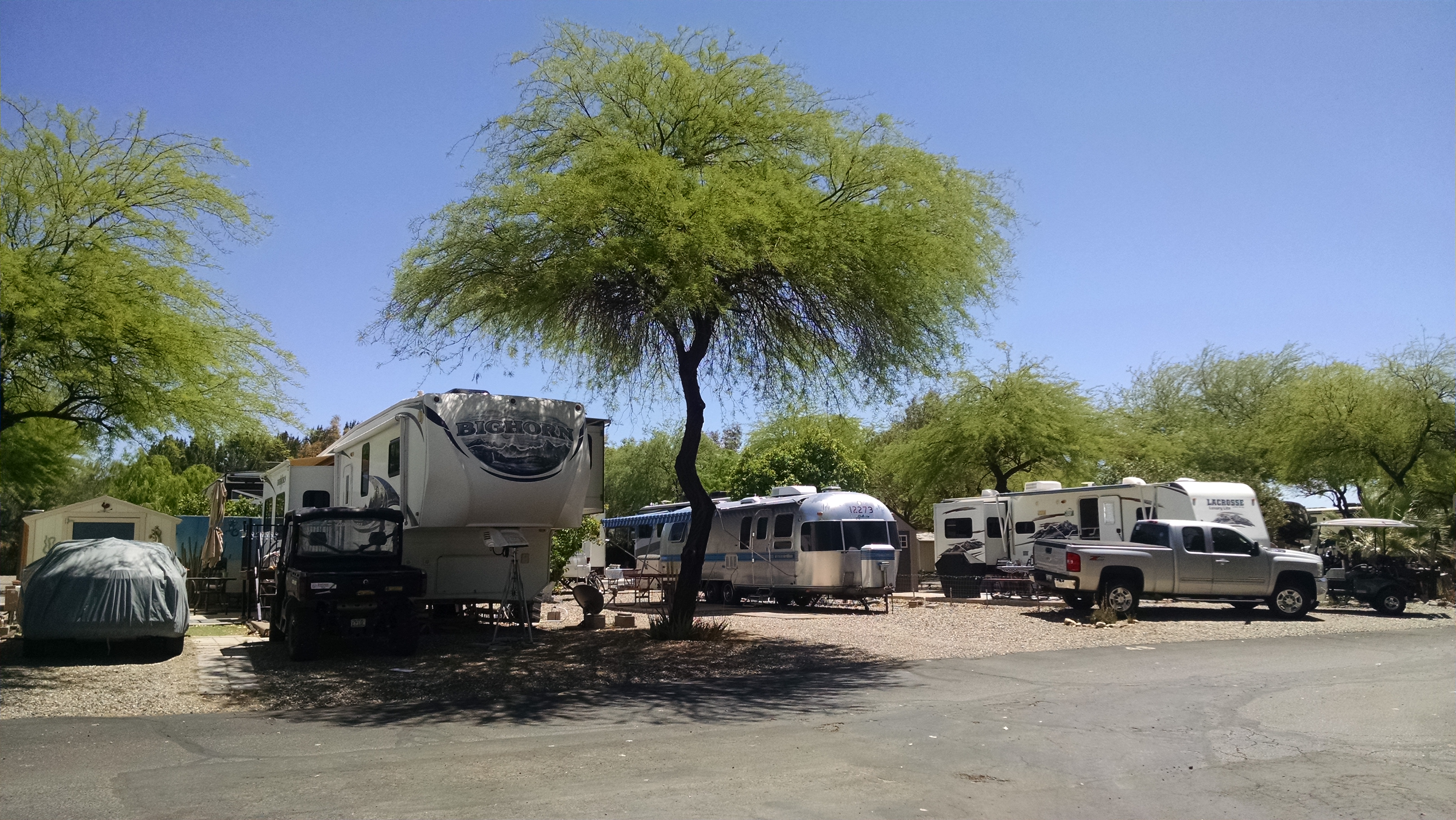 RV’s Shade Trees